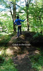 crack-in-bush